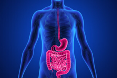 GI Oncology ( Gastrointestinal Cancer)