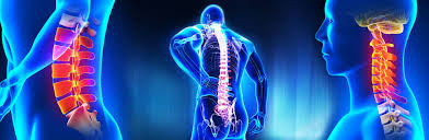 PMJAY cashless surgery in Rewa