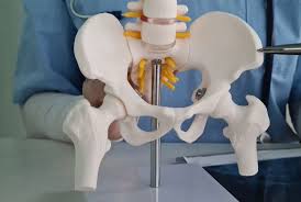 CGHS Hip Replacement In Amravati