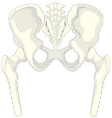 Free Hip Replacement Ayushman Bharat In Bhandara