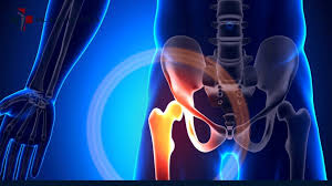 Minimally Invasive Hip Surgery In Chandrapur