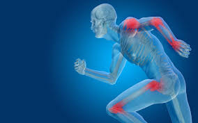 Orthopedic doctor Bhandara