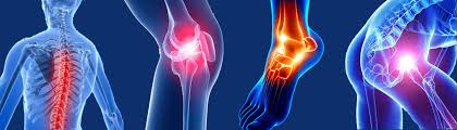 Orthopedic doctor Shahdol