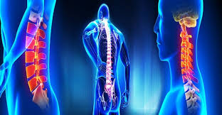 Spine Surgery in Bhandara