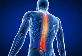 Spine Surgery in Hoshangabad