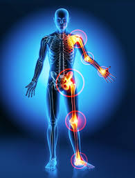 Government Approved Joint Surgery In Hoshangabad