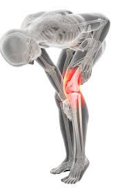 Government Approved Joint Surgery In Jabalpur