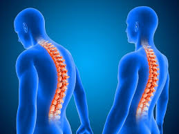 Spine Surgery in Adilabad