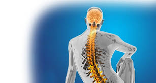 Spine Surgery in Chhindwara