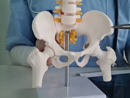 CGHS hip replacement Nagpur