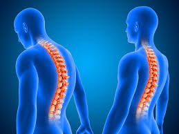 Spine Surgery Nagpur