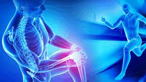 Top 10 Orthopedic Doctor In Nagpur